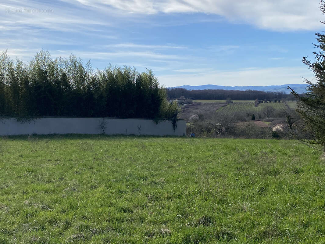 Terrain à bâtir de 2230 m2 à MARCY 69480 - photo 2