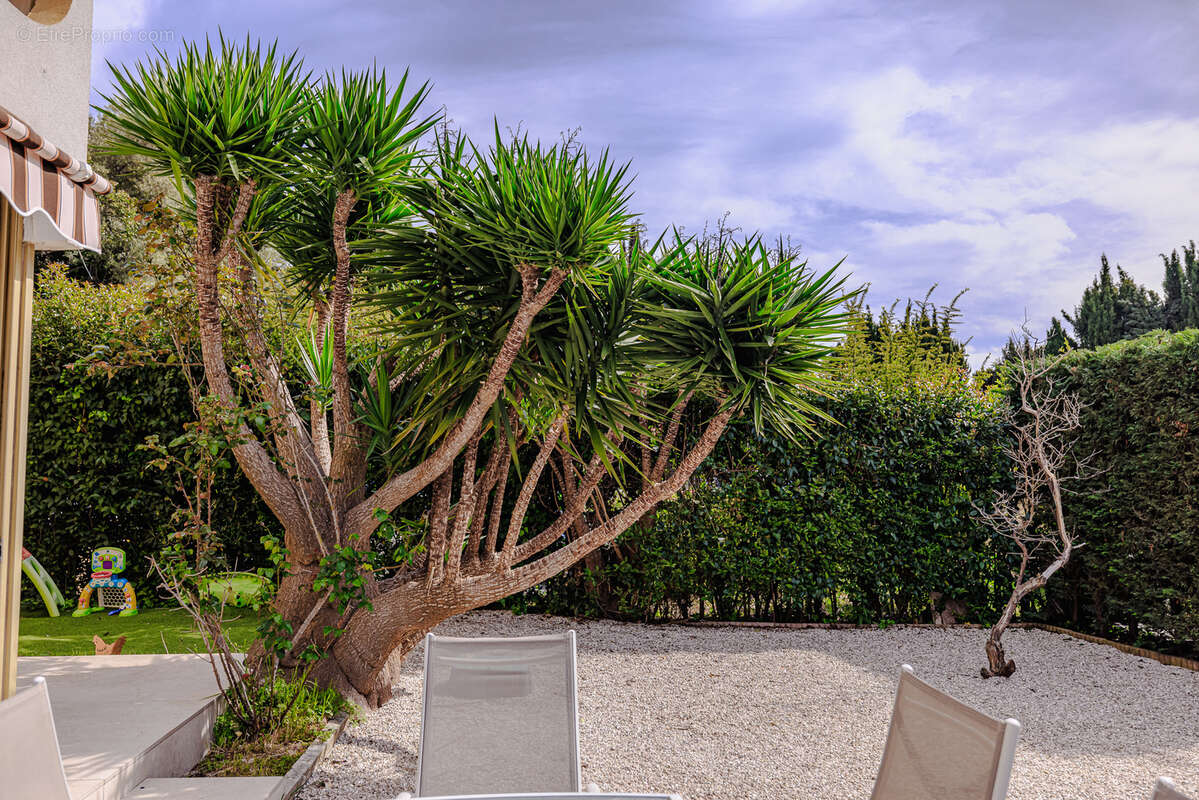 Appartement à VILLENEUVE-LOUBET