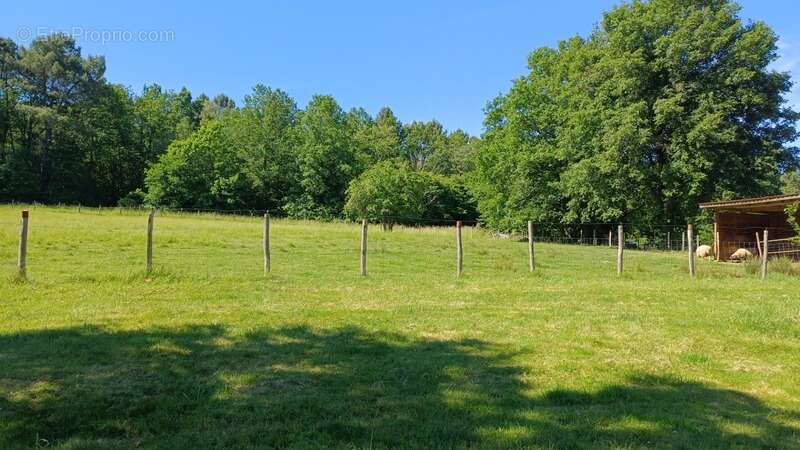 Propriete/Gites 6 hectares, Proche de THENON (24) - photo 13
