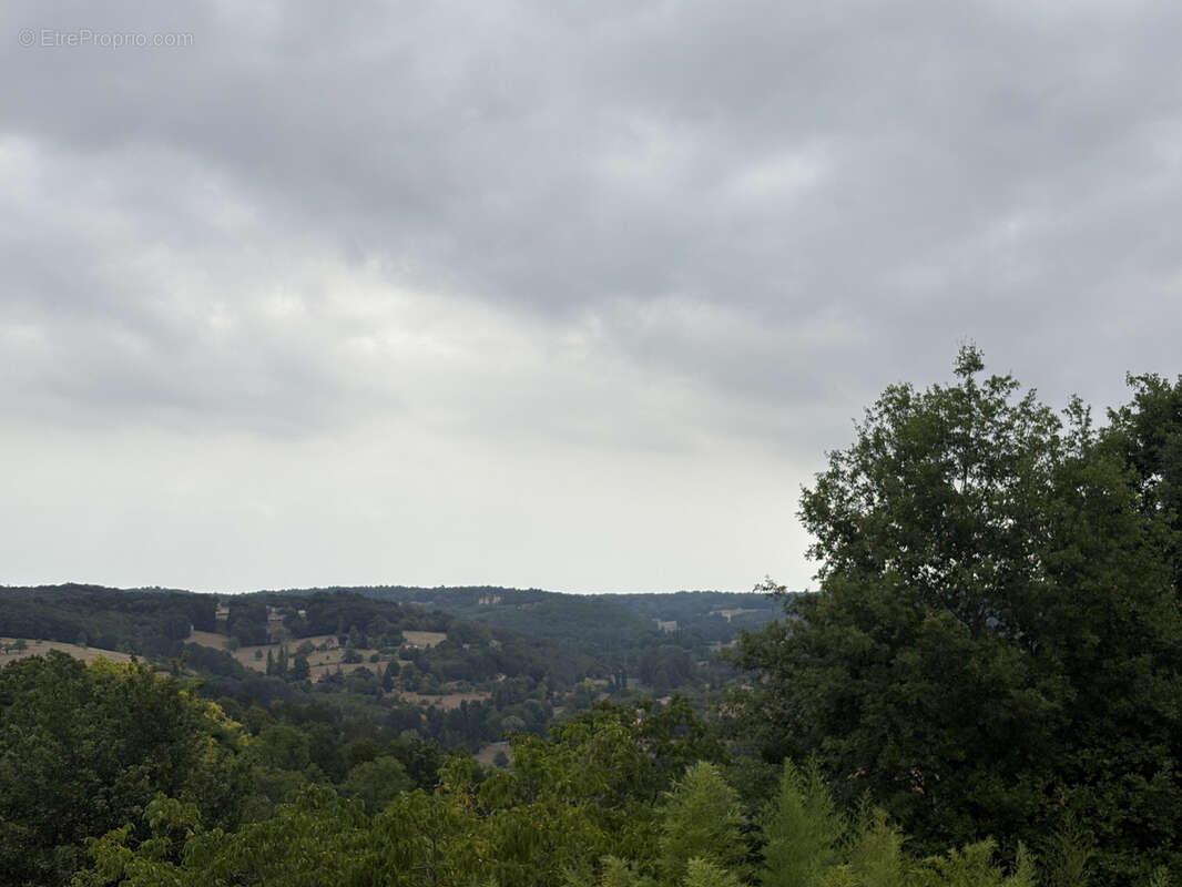 Maison de caractère avec appartement indépendant, 3 terrasses et parc arboré de 3 088 m2   Belvès - photo 35