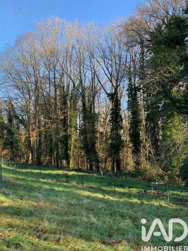 Photo 3 - Maison à VERNOU-LA-CELLE-SUR-SEINE