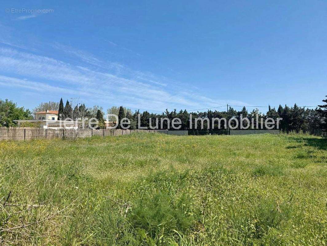 Terrain à PERPIGNAN