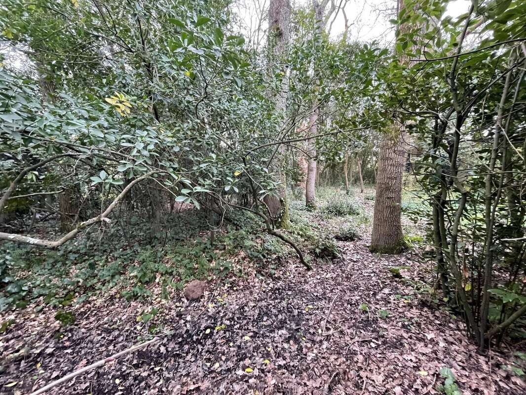 Maison à SAINT-SEBASTIEN-SUR-LOIRE