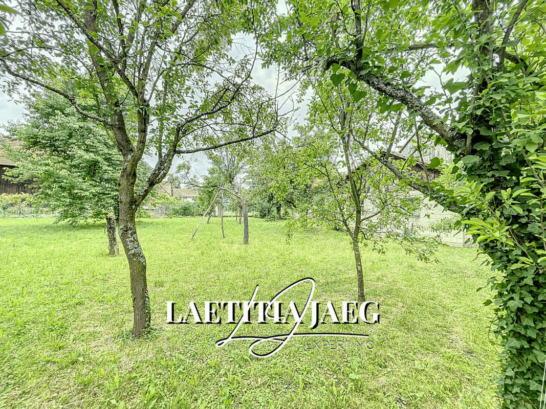 Terrain à BOOFZHEIM