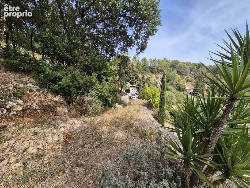 Vente Terrain Le luc(83340) 30 000ï¿œ - photo 6
