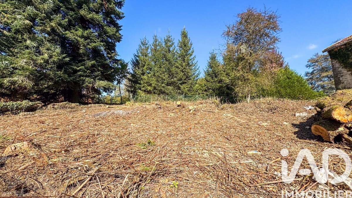 Maison 80 m² à La Chapelle-Aux-Bois  - photo 8