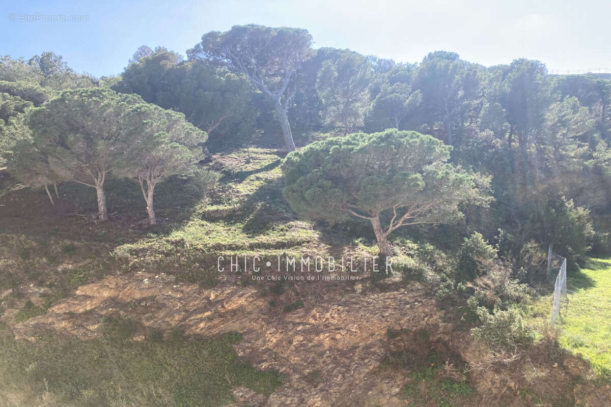 Appartement à BANYULS-SUR-MER