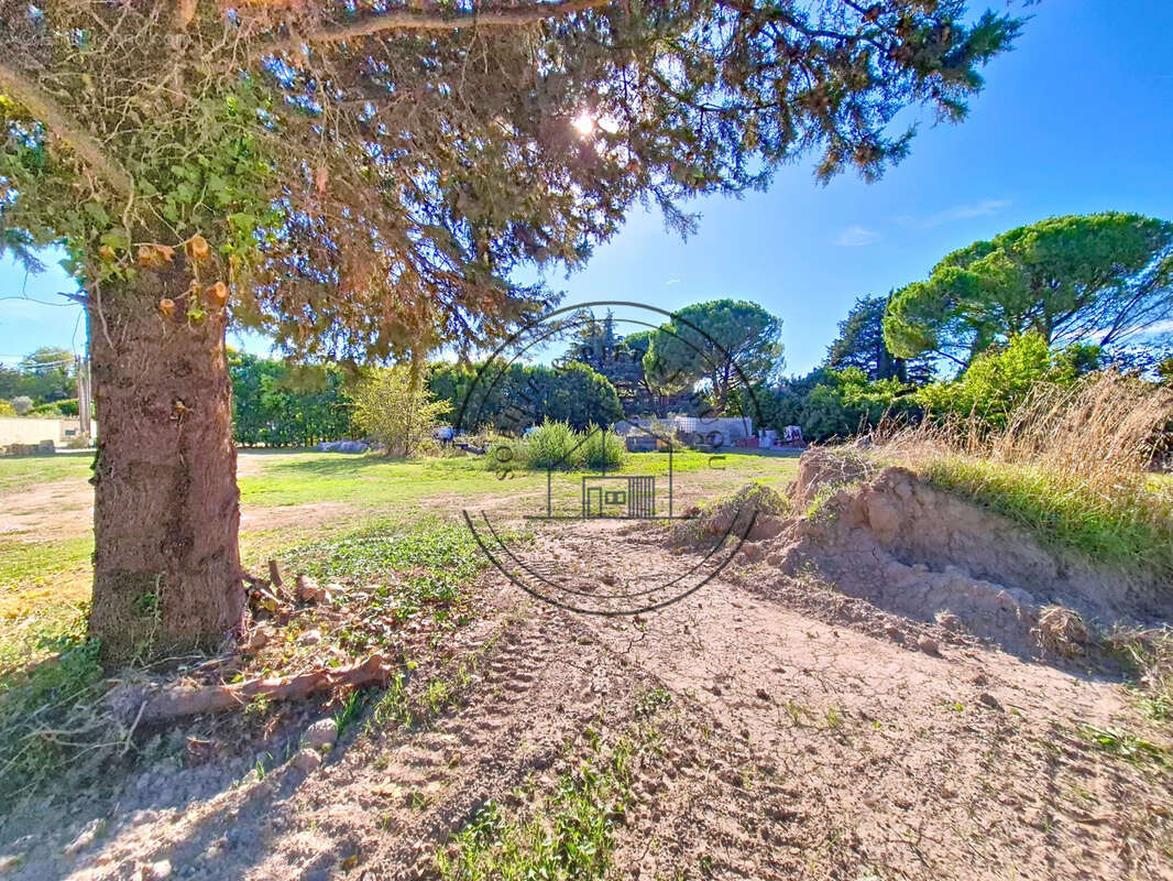 Terrain à CHEVAL-BLANC