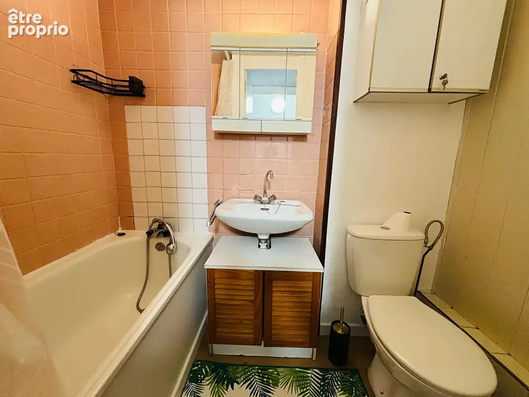 Appartement Vandoeuvre Les Nancy 1 pièce(s) 17.37 m2 - photo 6