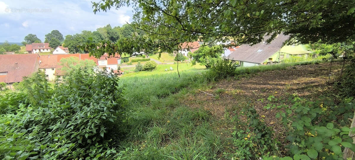 TERRAIN RARE   Hors lotissement - 16,26 ares à Vilsberg - photo 2
