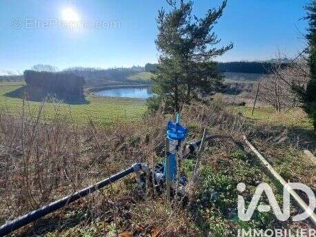 Photo 5 - Terrain à OZON