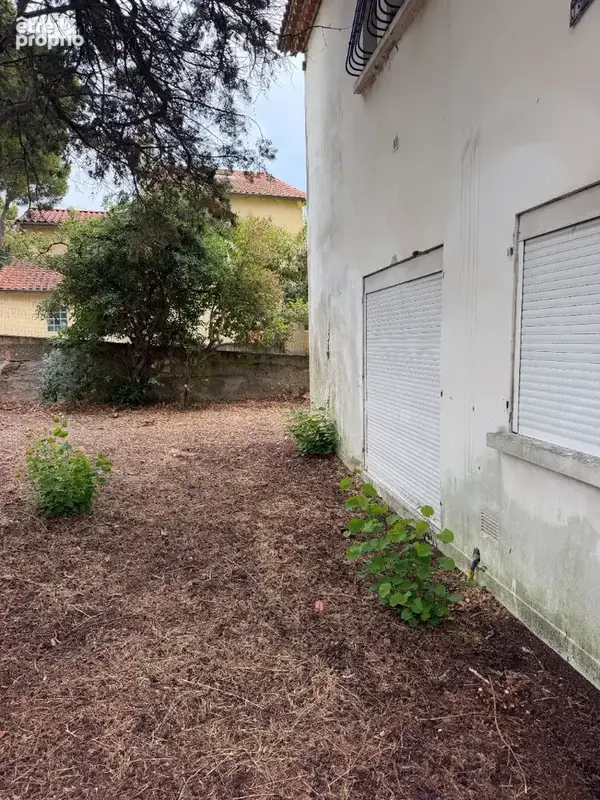 Appartement Sete 4 pièce(s) 74 m2 Jardin 200m2 env  2 parkings - photo 4