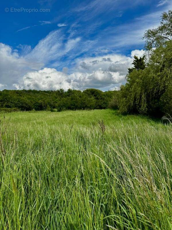 Terrain à MONCEL-SUR-SEILLE