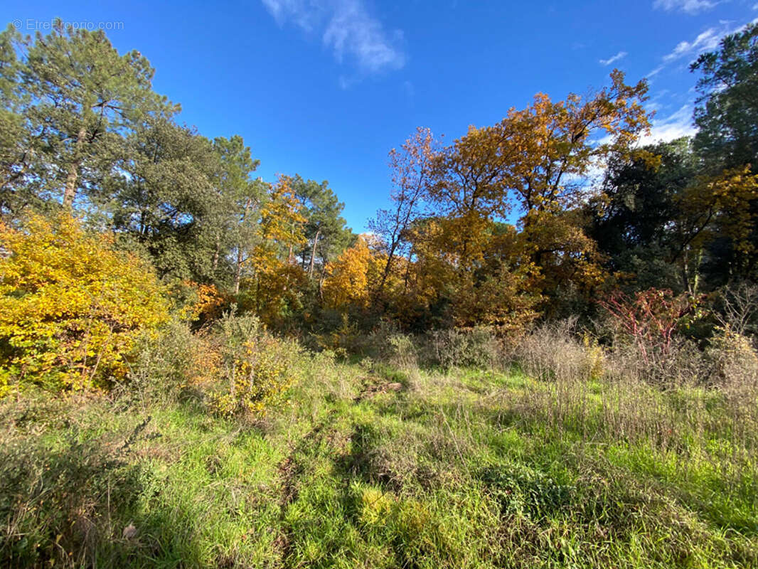 Terrain à BAGNOLS-SUR-CEZE