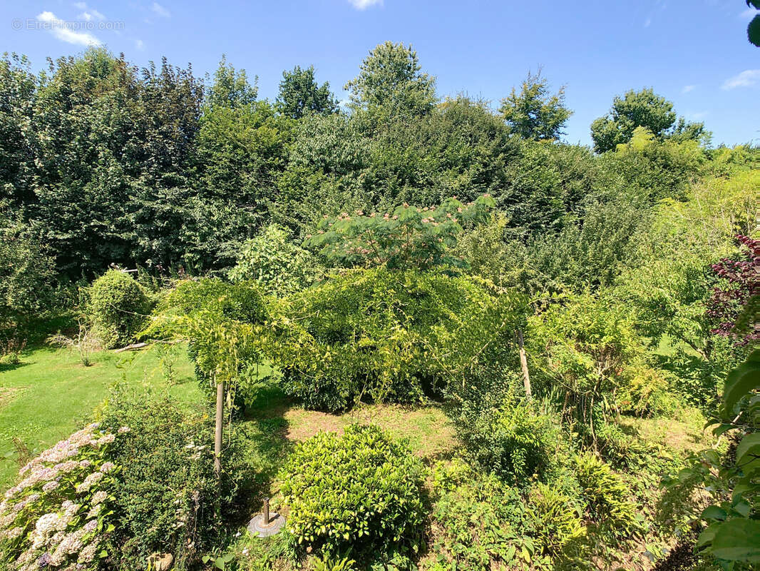 Maison à LE MESNILBUS