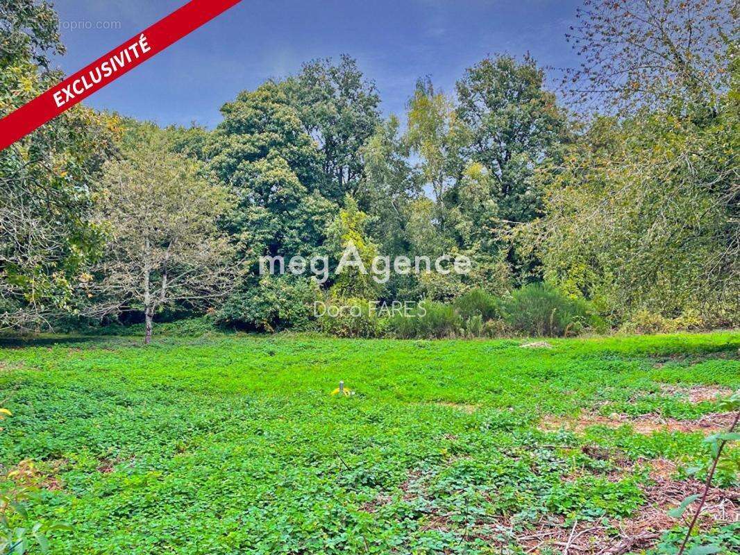 Terrain à MARCOUSSIS