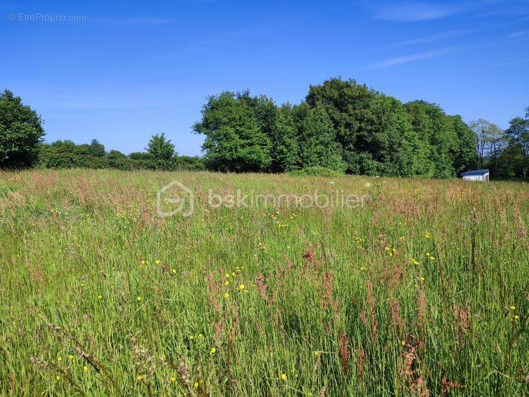 Terrain à CARROUGES