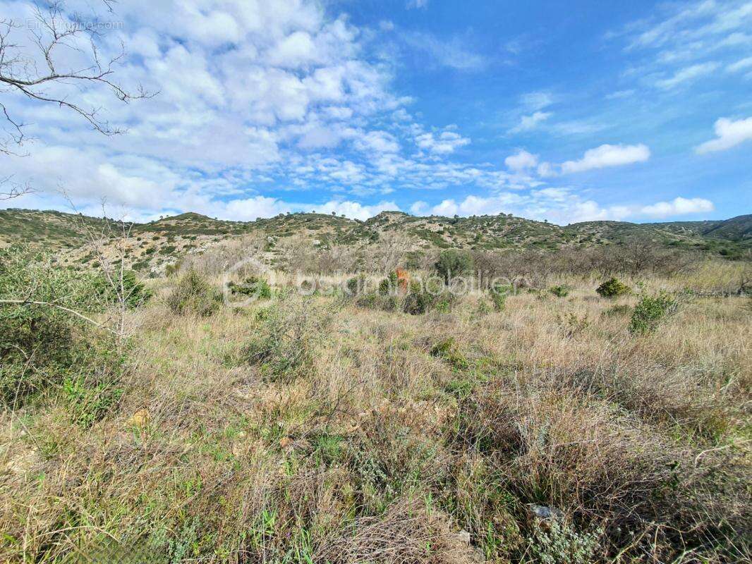 Terrain plat de 4760m² - sur l'axe cases de pene / estagel - au bord de l'agly - photo 2