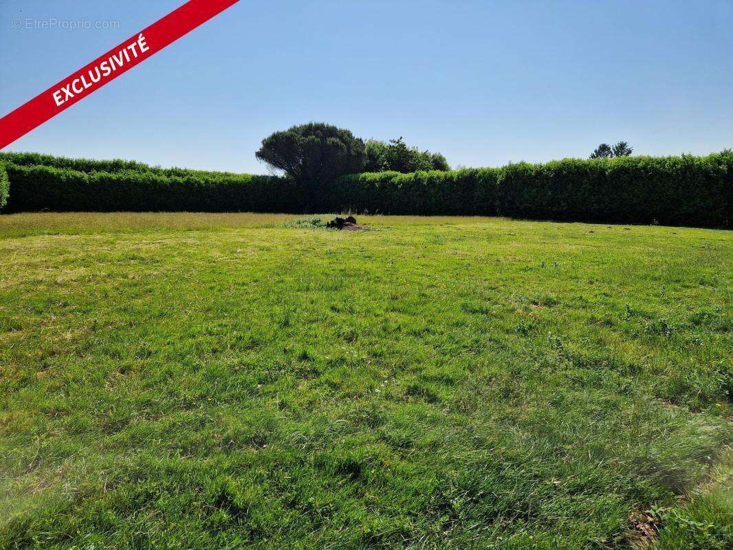 Terrain à LE CHAMP-SAINT-PERE