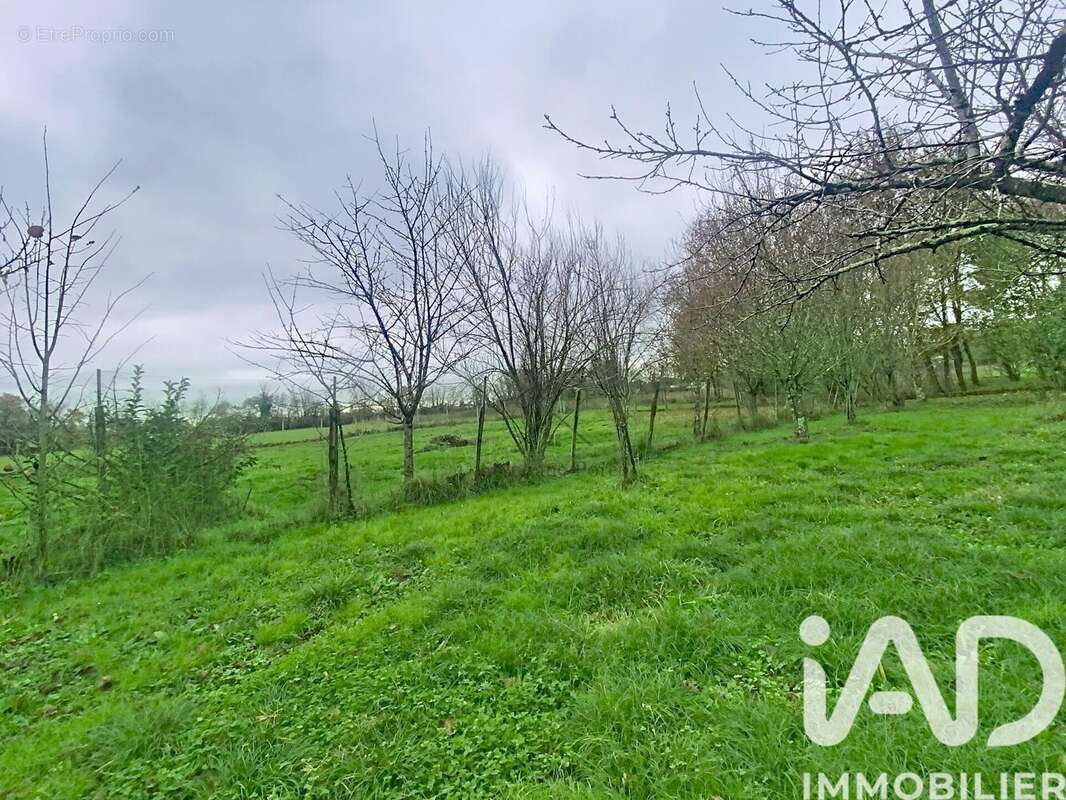 Photo 7 - Terrain à ALBIAS