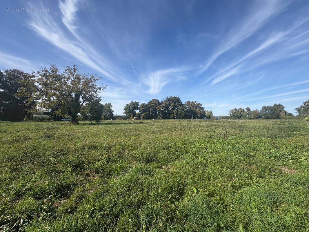 Terrain à CASTILLON-LA-BATAILLE