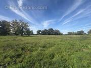 Terrain à CASTILLON-LA-BATAILLE