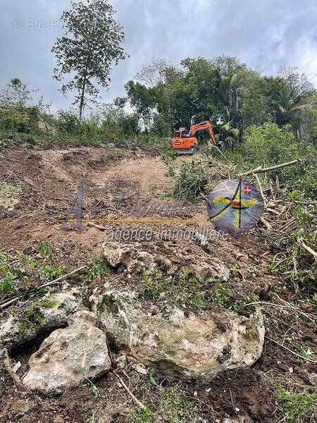 Terrain à LES ABYMES