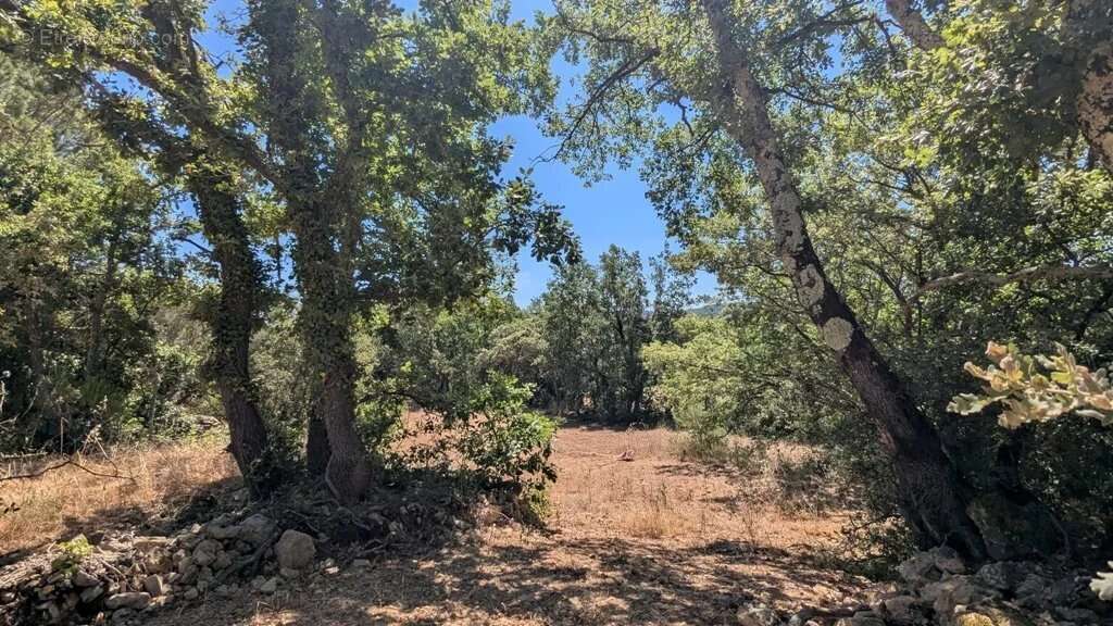 CARCES - Terrains à bâtir libre constructeur à partir de 1.500m² - photo 9