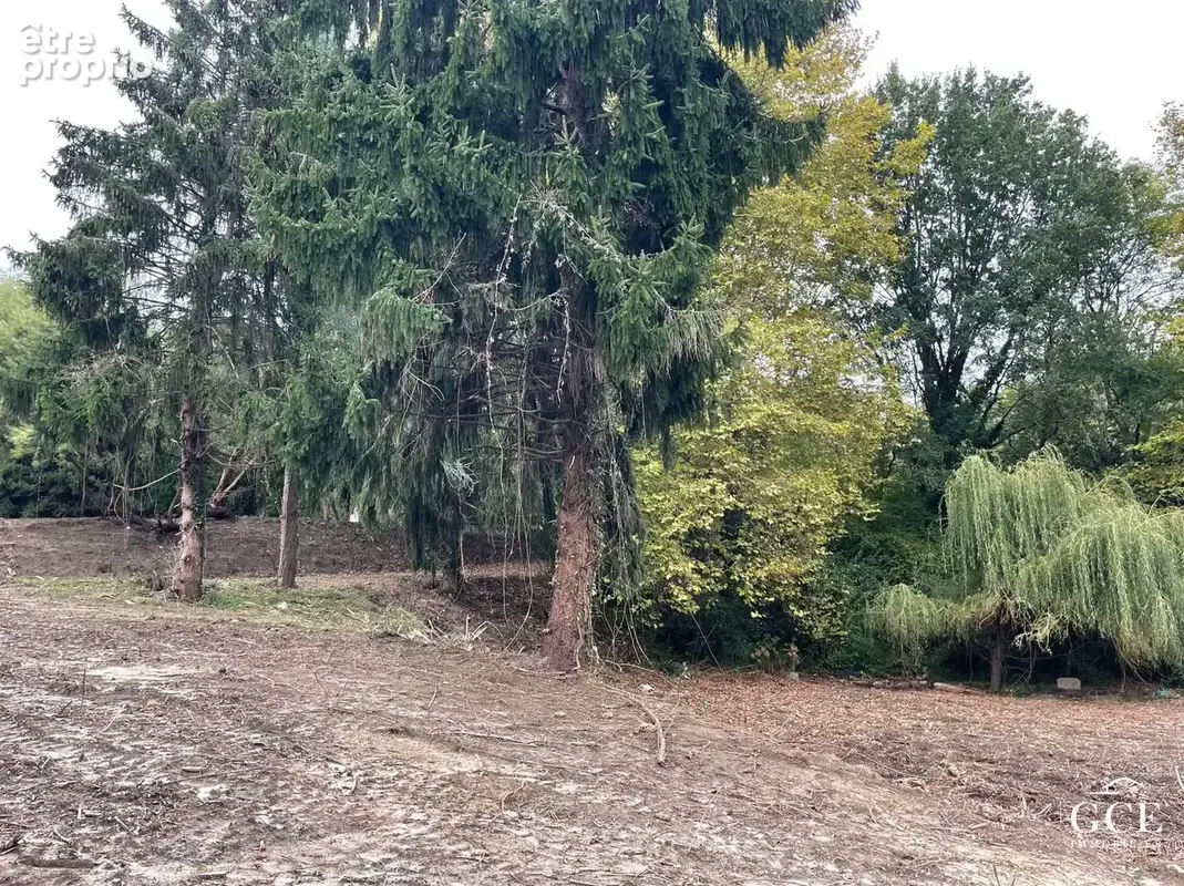 Terrain 7 559 m² à vendre à Bayonne (64100) - photo 6