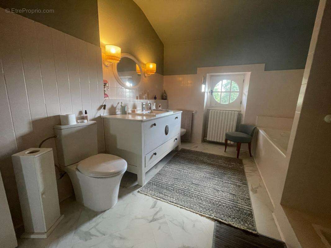 Très Belle maison de caractère  dans parc de 26900 m2 - photo 22