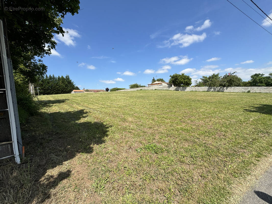 Terrain à CHATEAUNEUF-SUR-CHARENTE