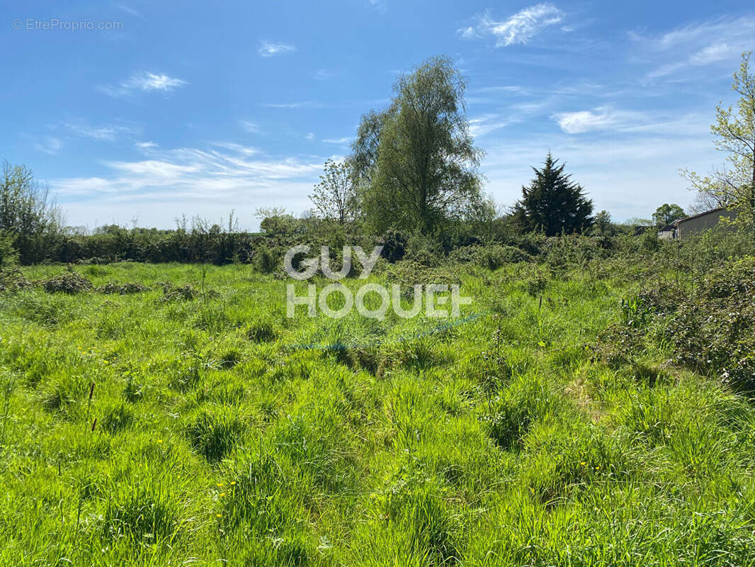 Terrain à FOUSSAIS-PAYRE