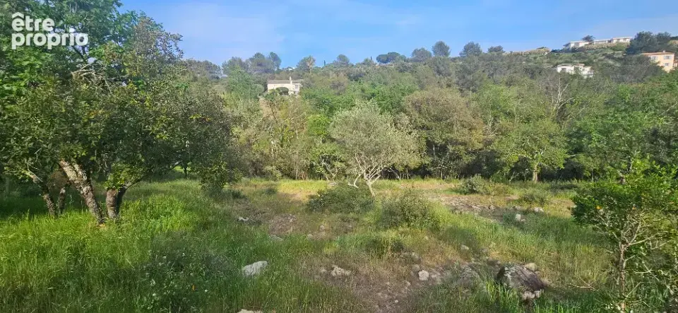 Terrain 7300 m² à Roquefort-Les-Pins  - photo 3