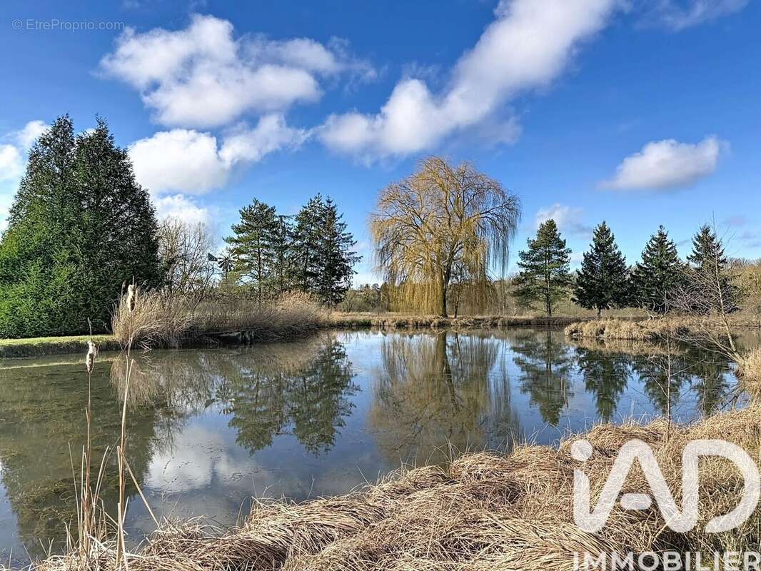 Photo 5 - Maison à SAINTE-MENEHOULD