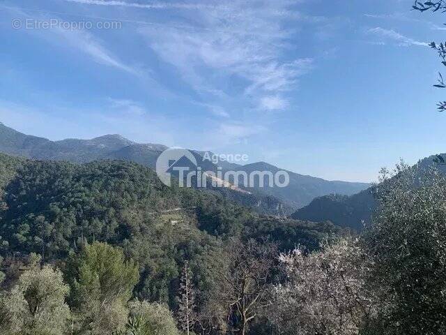 Maison à L&#039;ESCARENE