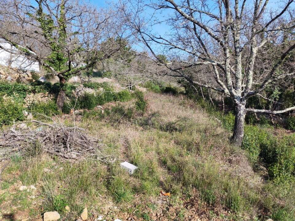 Terrain à BESSE-SUR-ISSOLE