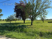 Terrain à GAILLAC