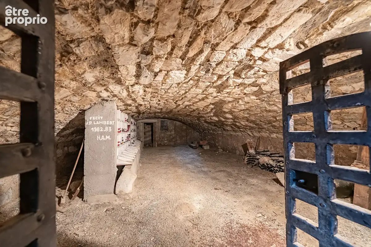 Propriété historique avec domaine viticole et vue panoramique - photo 13