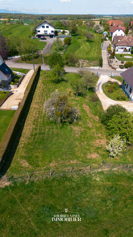 Terrain à PFETTERHOUSE