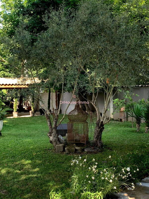 Maison à SAINT-JEAN-DE-MUZOLS