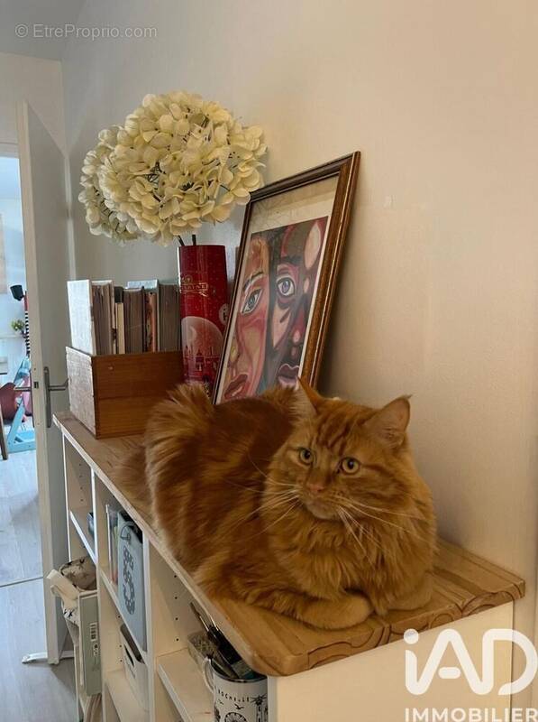 Photo 1 - Appartement à ROMAINVILLE