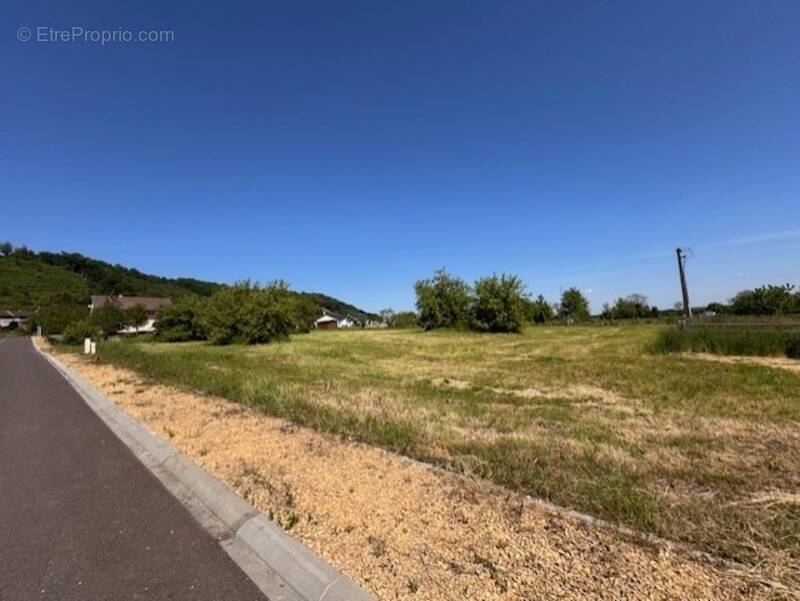 Terrain à BRANDEVILLE