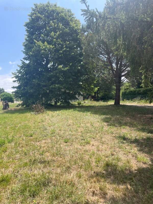 Terrain à AYGUESVIVES