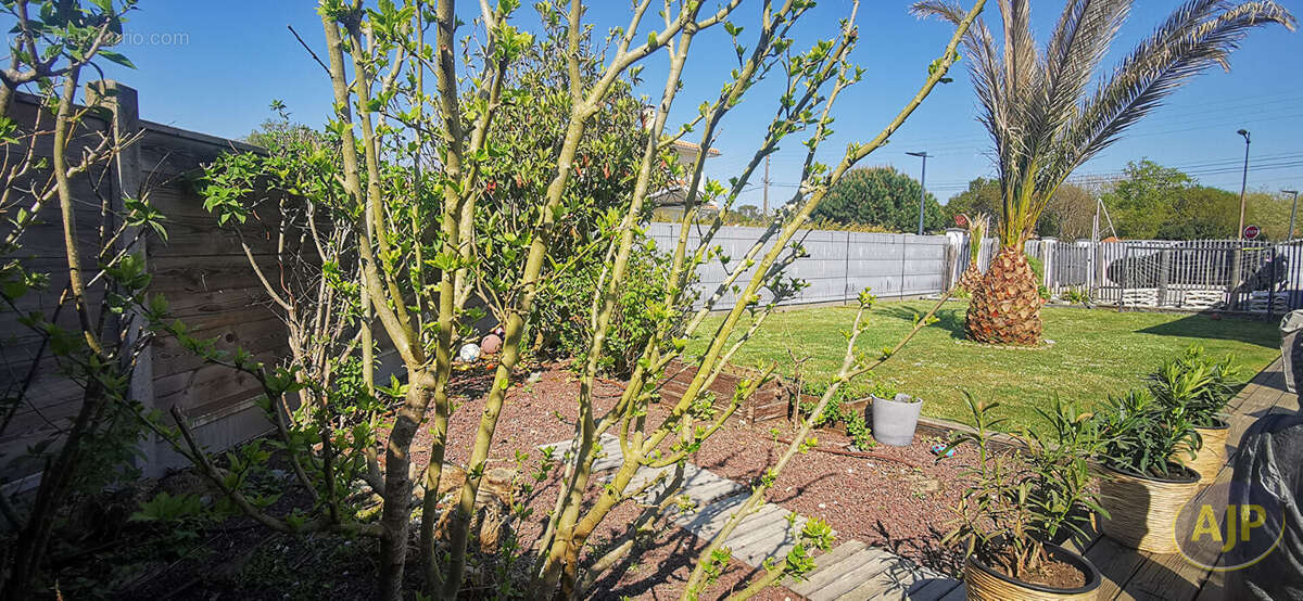 Maison à LEGE-CAP-FERRET