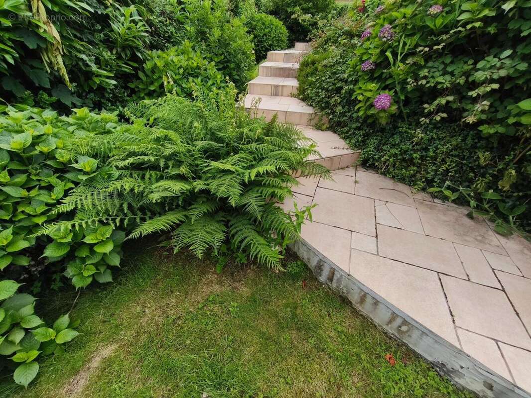 Photo 5 - Maison à CHERBOURG-OCTEVILLE