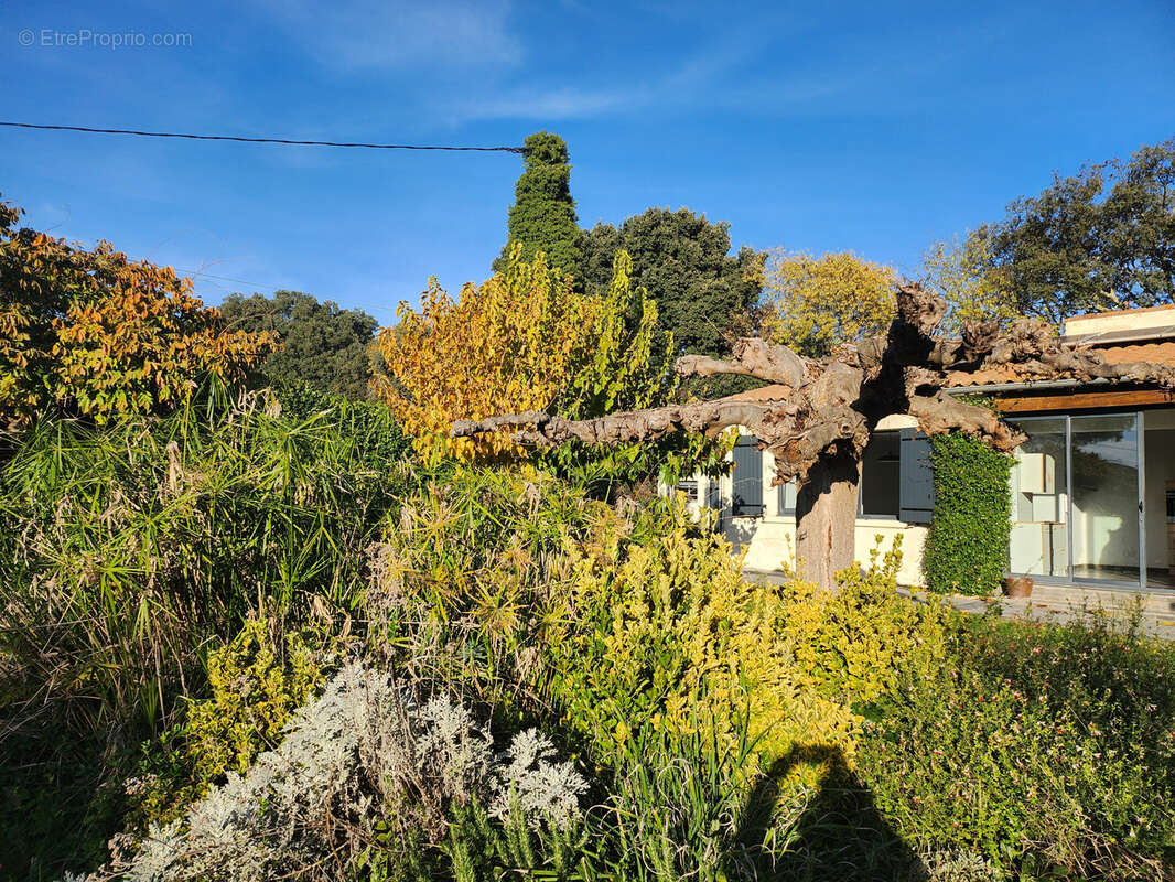 Maison à UZES