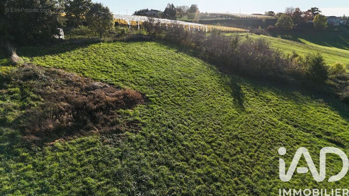 Photo 2 - Terrain à MOISSAC