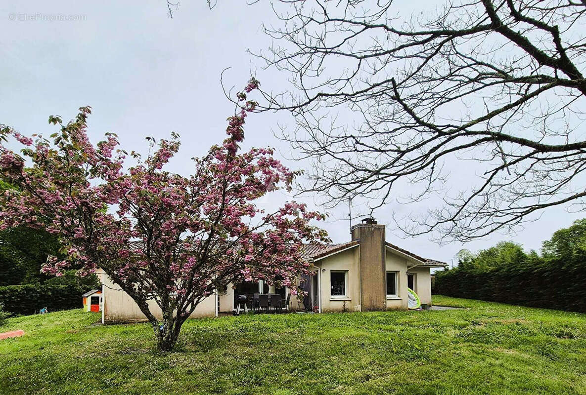 Maison à VILLENEUVE-DE-MARSAN