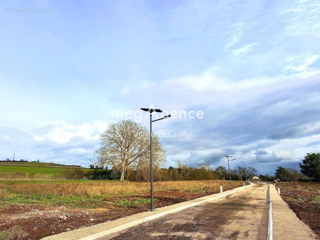 Terrain à MALAY-LE-PETIT