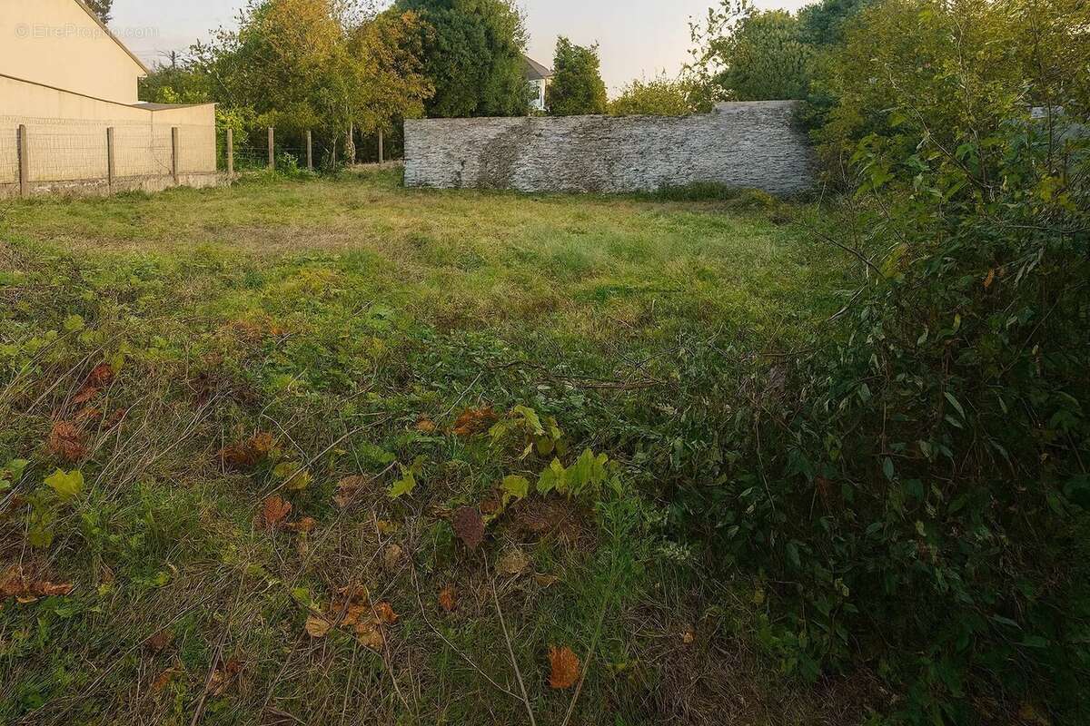 Terrain à MORTCERF